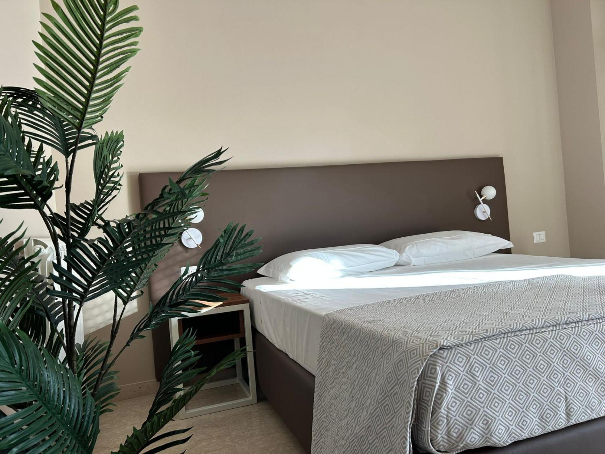 Superior Single Room